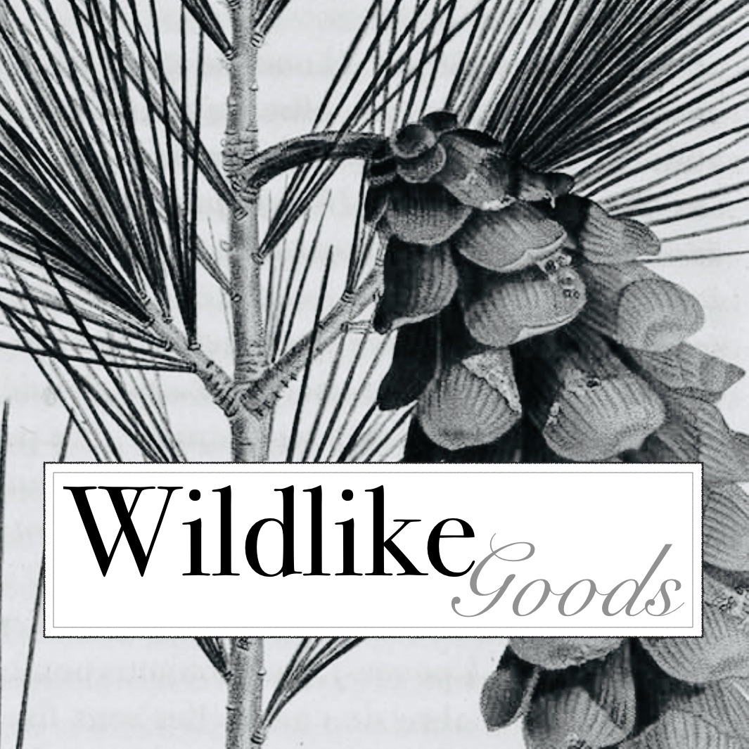 Wildlike Goods- Holiday Market